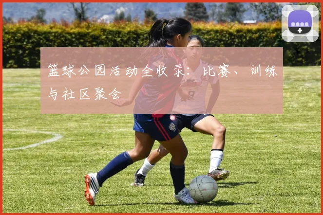 篮球公园活动全收录：比赛、训练与社区聚会