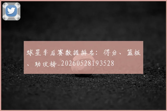 球星季后赛数据排名:得分、篮板、助攻榜_20260528193528