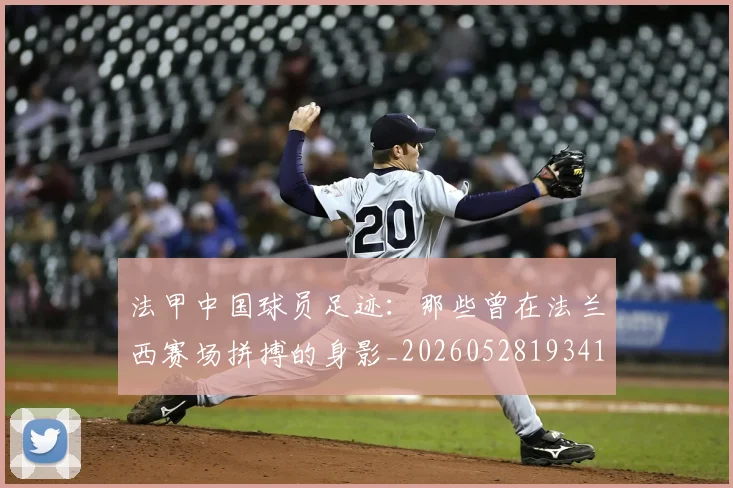 法甲中国球员足迹：那些曾在法兰西赛场拼搏的身影_20260528193418